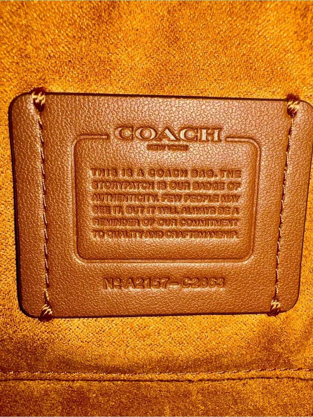 Coach Ellen Daisy Embroidered Leather Crossbody Bag Chalk C2863t